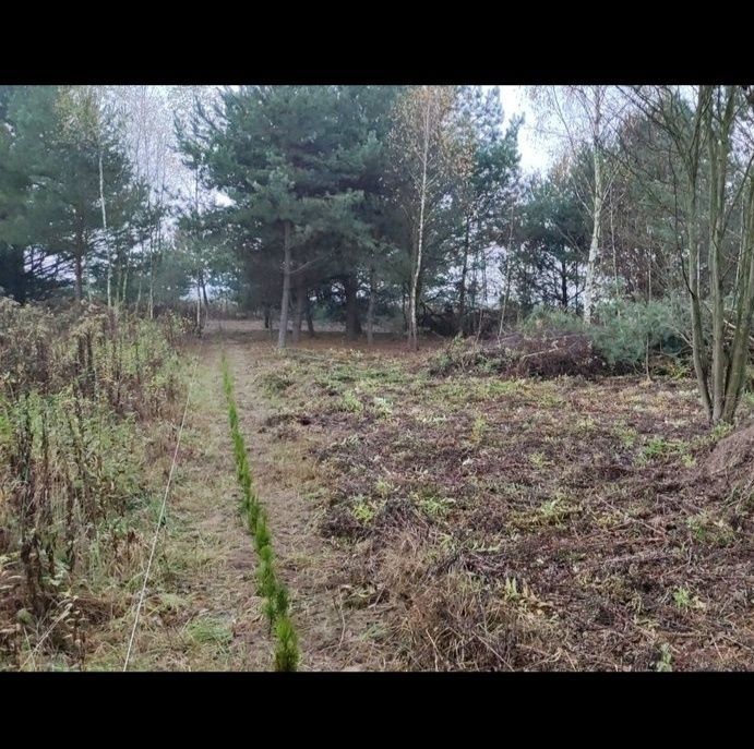 Działka budowlana Wymysły, ul. Limonkowa. Zdjęcie 3