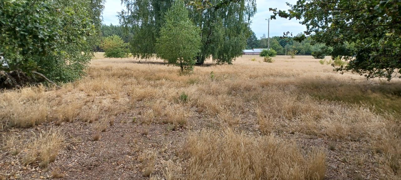 Działka budowlana Bujniczki-Kolonia Kopanina. Zdjęcie 11