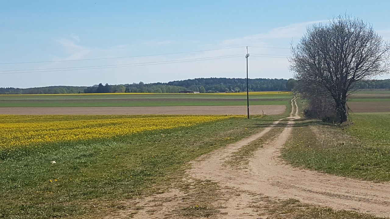 Działka rolna Dargikowo. Zdjęcie 11