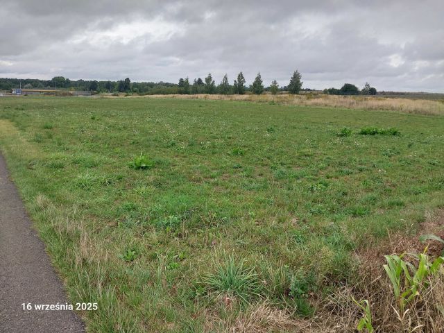 Działka rolno-budowlana Sieprawice. Zdjęcie 1