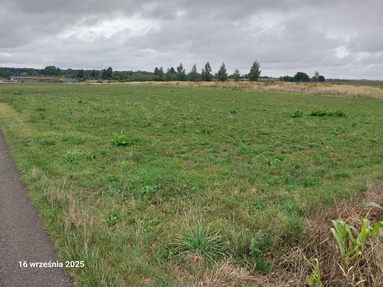 Działka rolno-budowlana Sieprawice