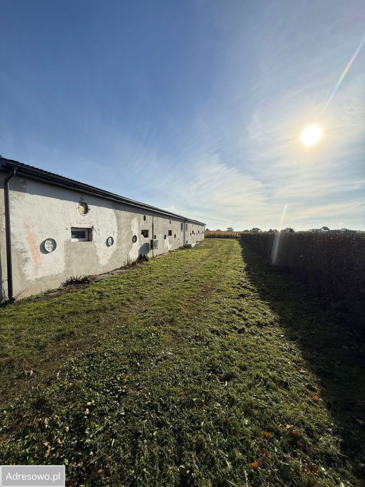 Hala/magazyn Pielgrzymowice. Zdjęcie 8