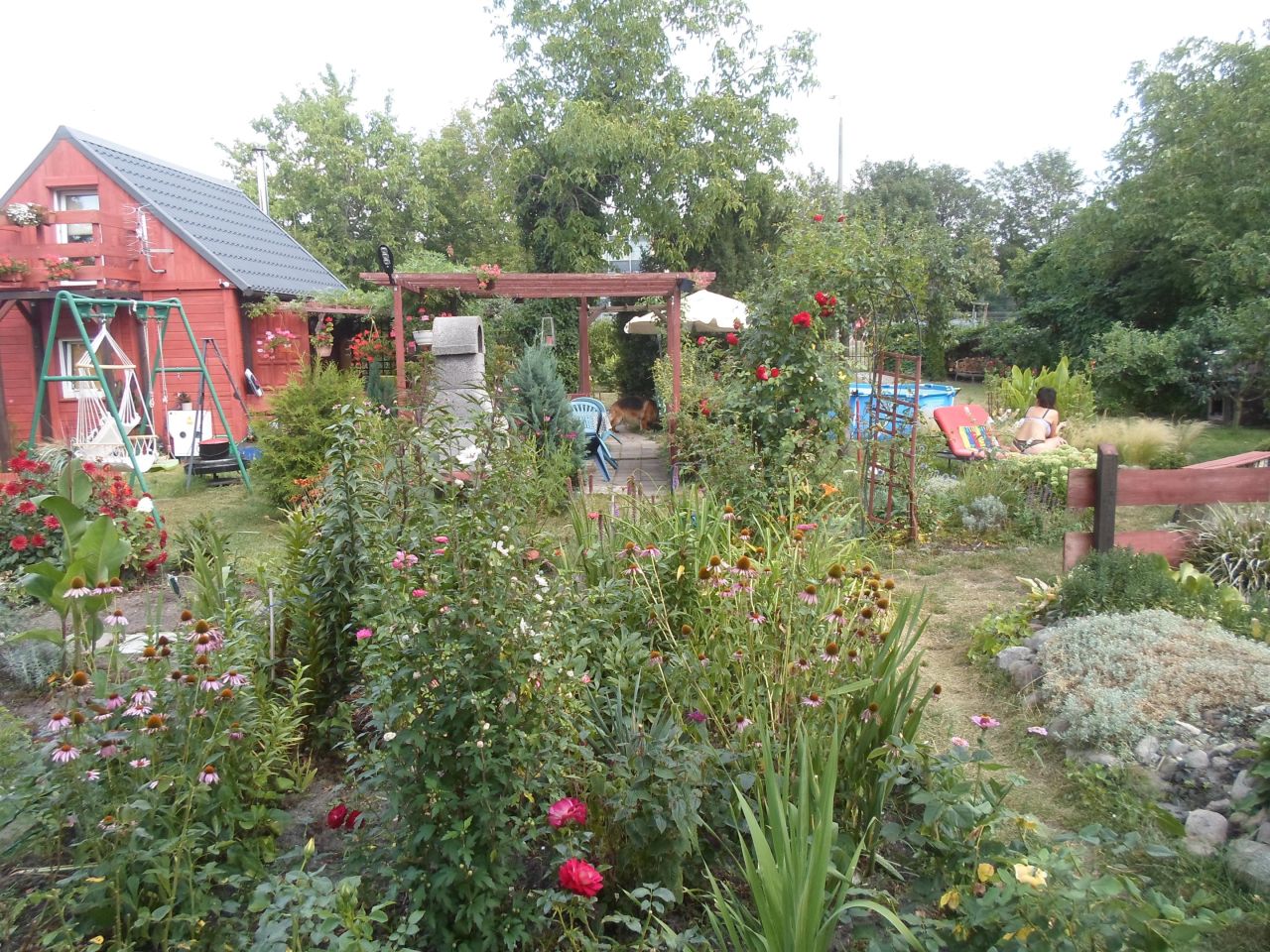 Działka rod Toruń Mokre, ul. Bolesława Chrobrego. Zdjęcie 17