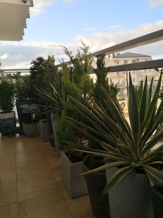 Mieszkanie 1-pokojowe Gdańsk Łostowice, ul. Niepołomicka. Zdjęcie 5