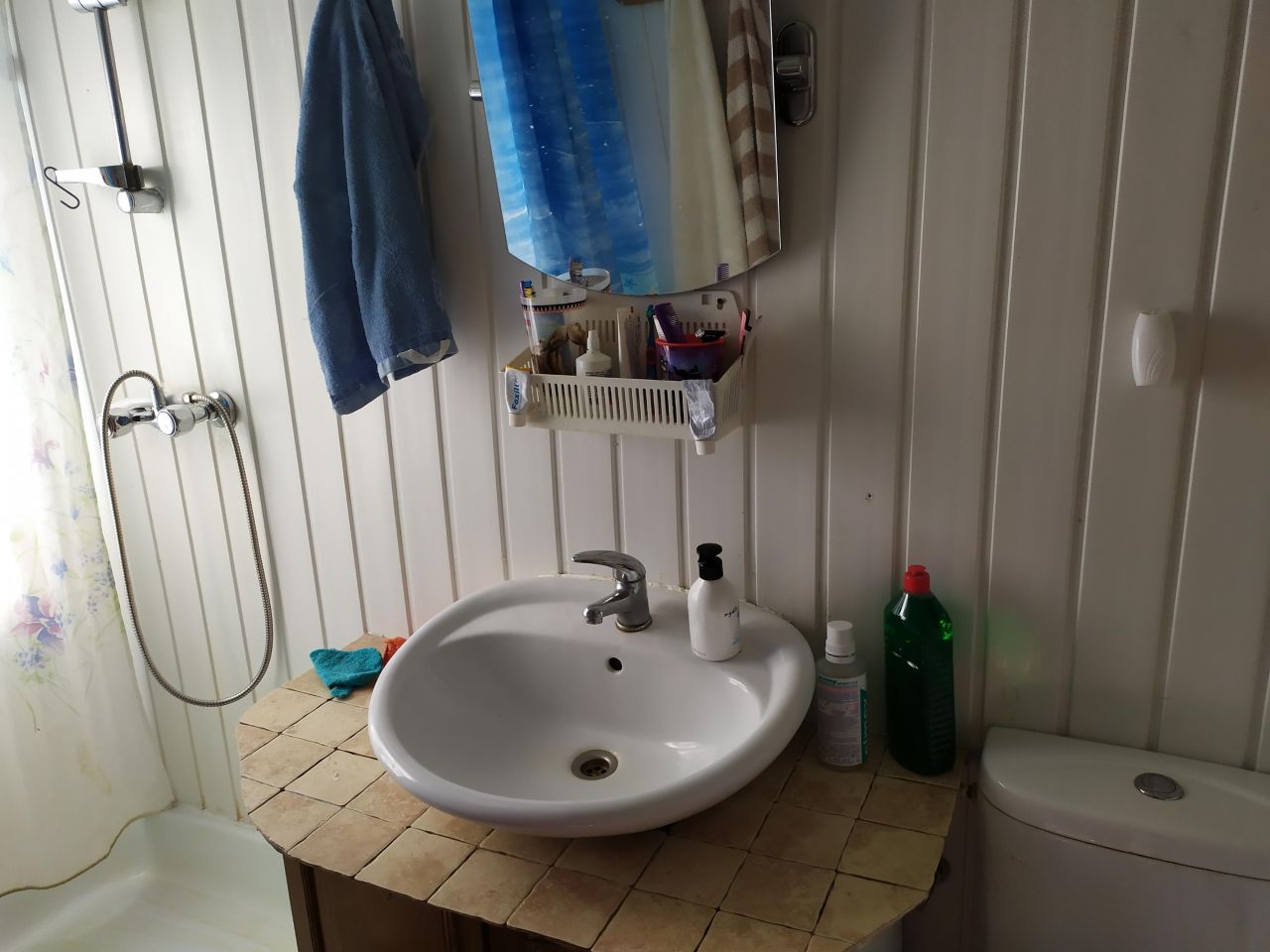 Działka rod Kajetany, ul. Brzozowa. Zdjęcie 7