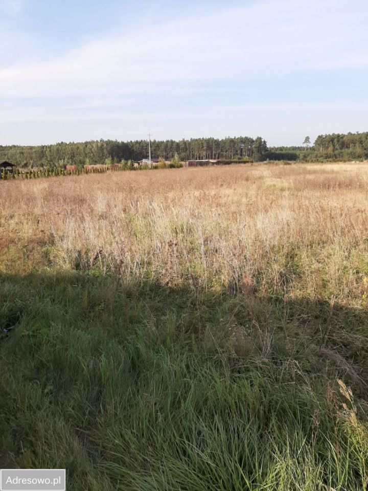 Działka inwestycyjna Sarbia. Zdjęcie 7