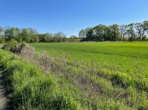 Działka siedliskowa Krzeczyn Mały. Zdjęcie 1