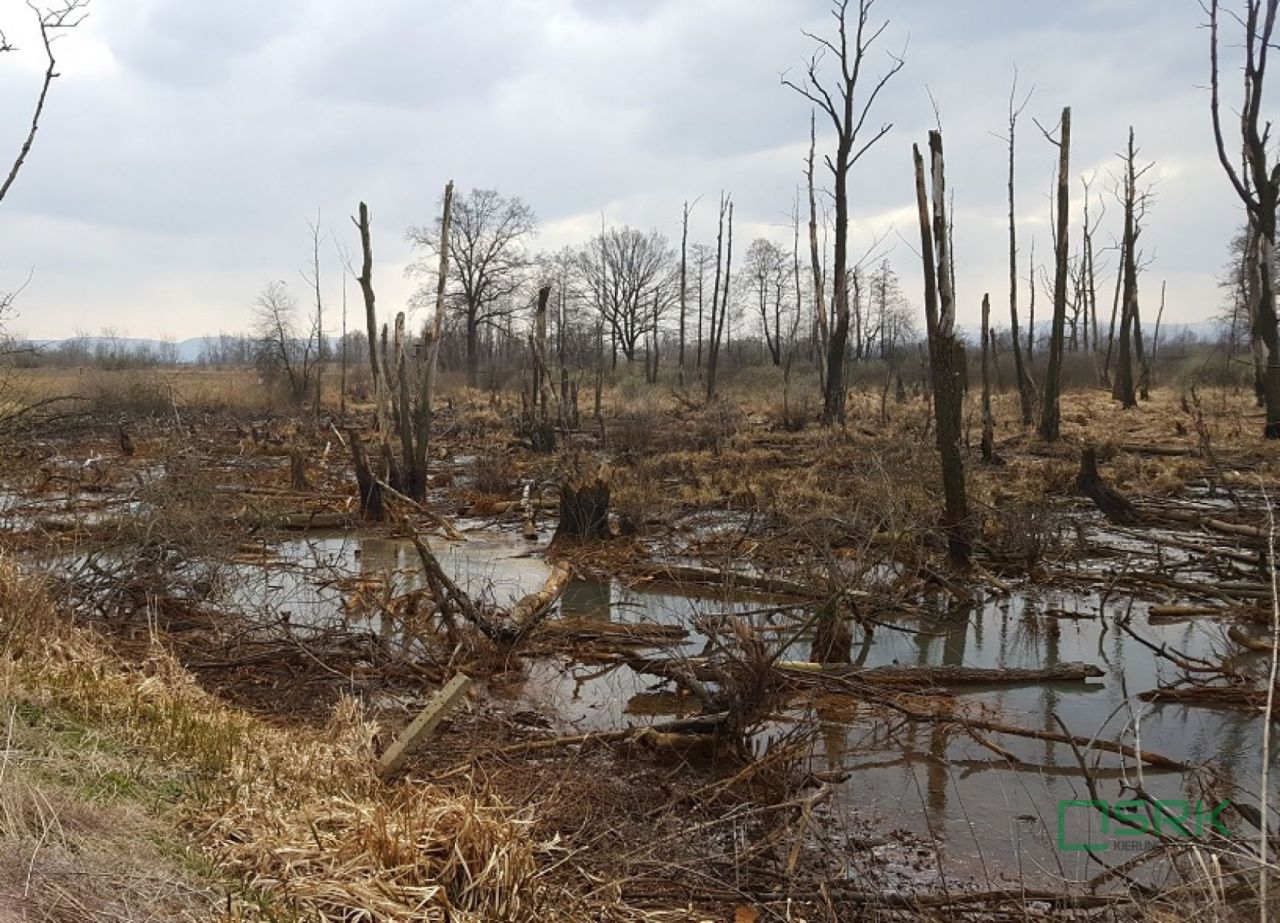 Działka inna Goczałkowice-Zdrój, ul. Stawowa. Zdjęcie 2