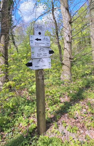 Działka Żerzyno. Zdjęcie 11