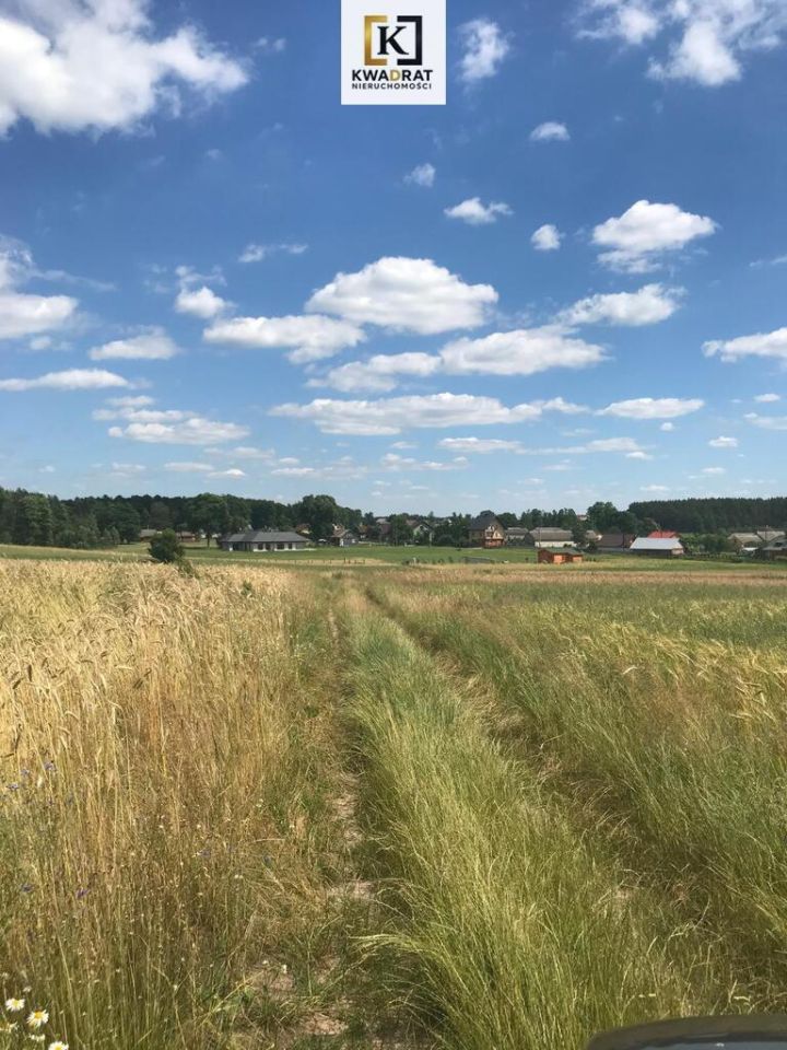 Działka budowlana Borówek. Zdjęcie 5
