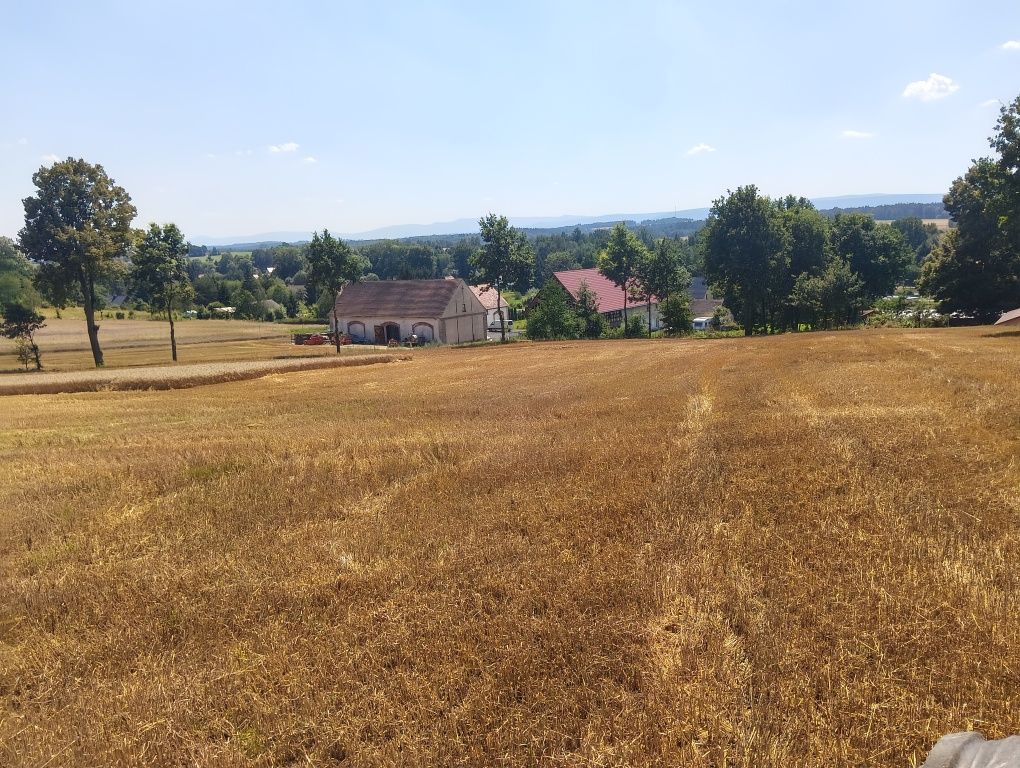 Działka budowlana Oleszna Podgórska. Zdjęcie 4