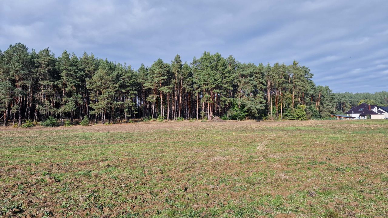 Działka rolno-budowlana Pszczew. Zdjęcie 3