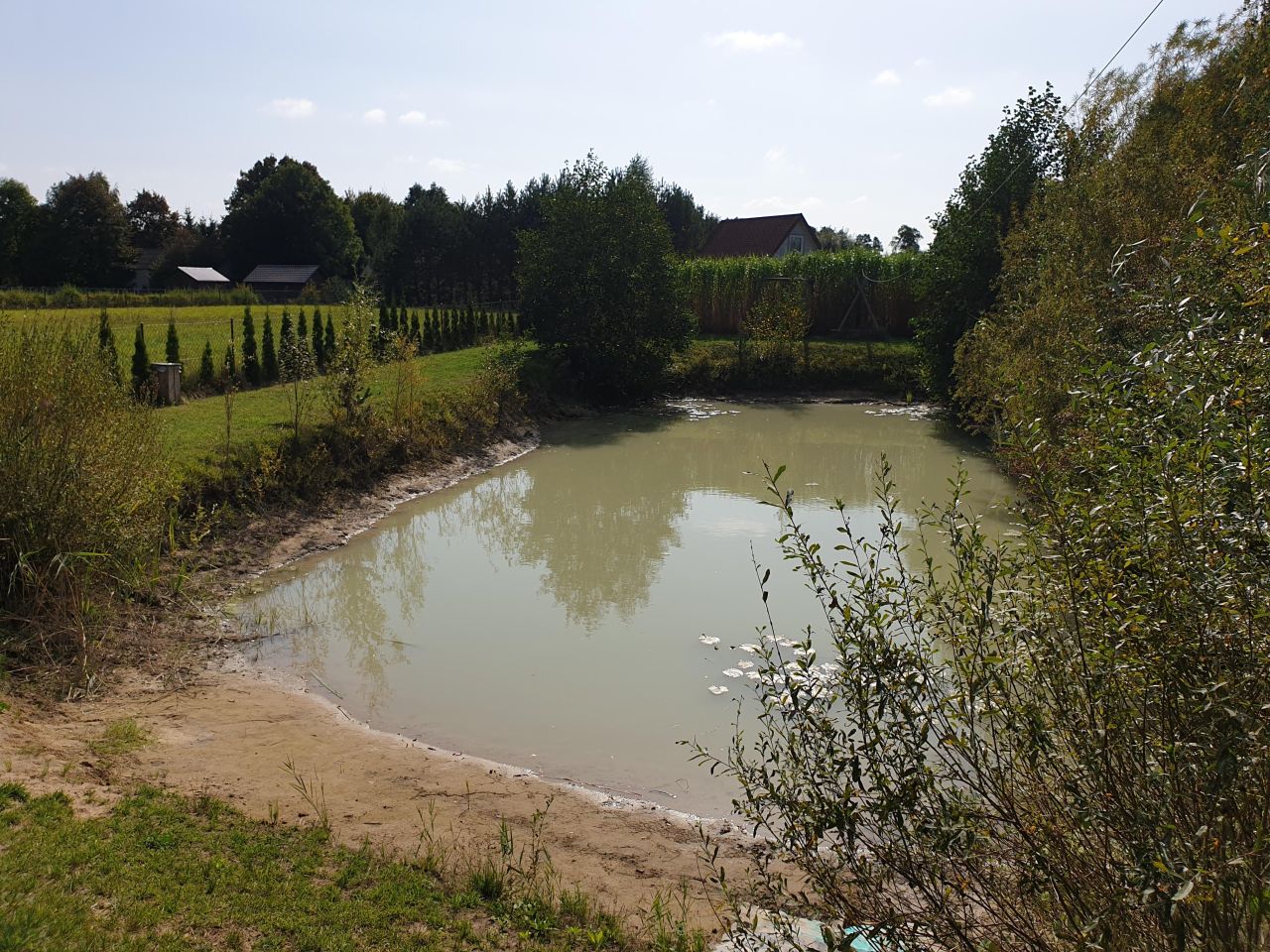 Działka budowlana Wytyczno Kochanowskie. Zdjęcie 8