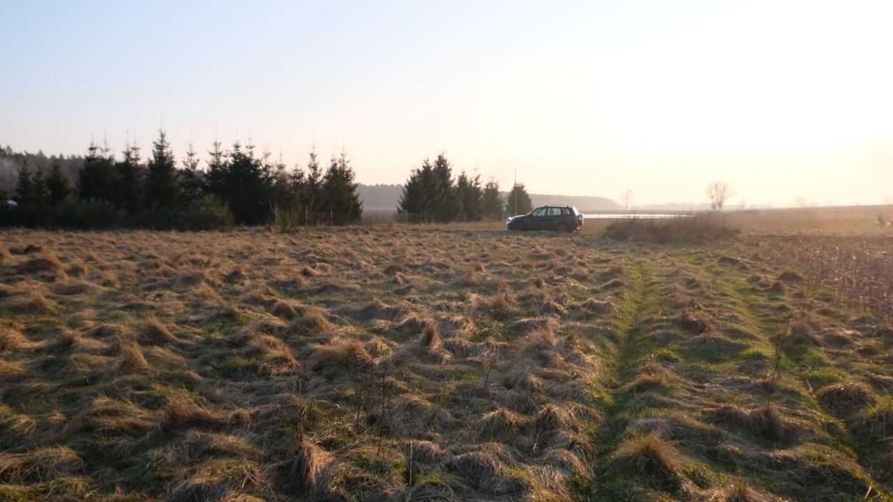 Działka rolna Drzewica. Zdjęcie 5