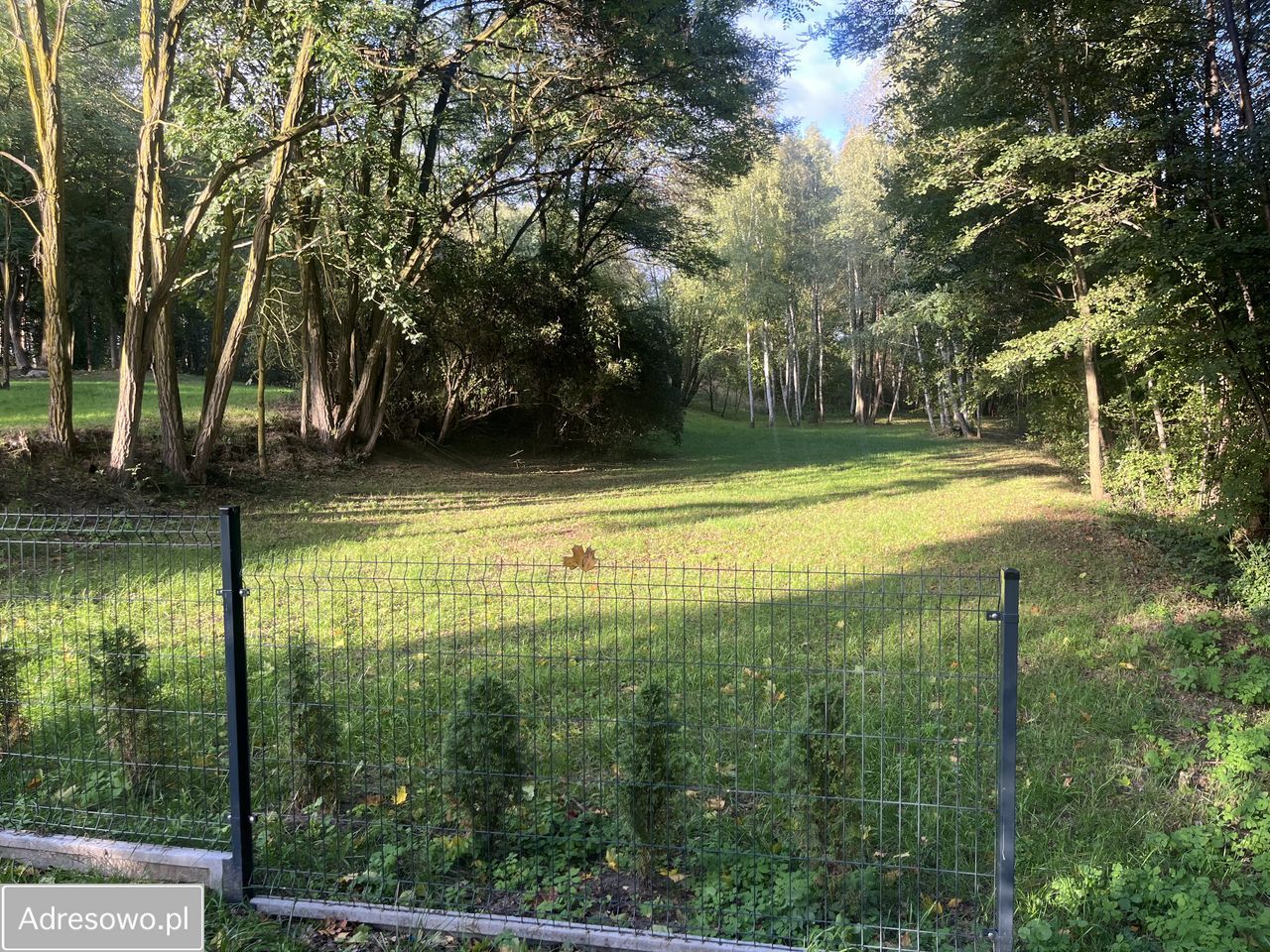 Działka budowlana Biedrzychowice Dolne. Zdjęcie 13