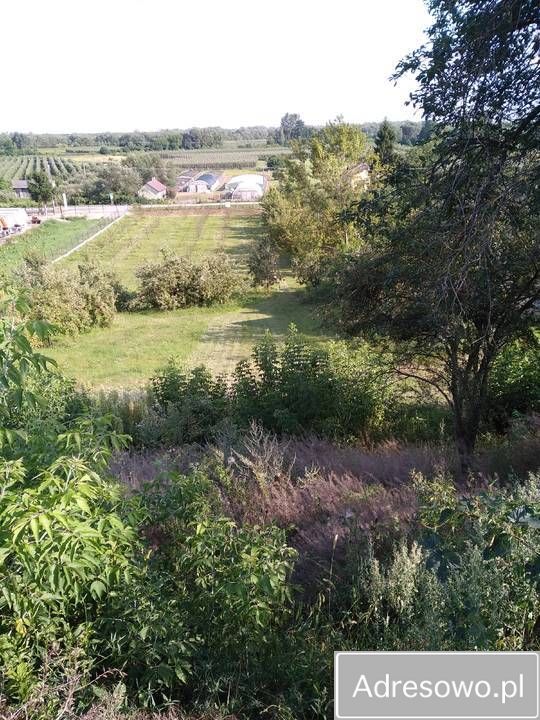 Działka rolno-budowlana Zawichost, ul. Podgórze. Zdjęcie 3