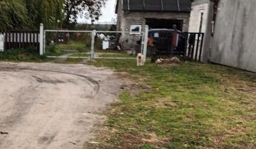 Działka siedliskowa Rusiborek