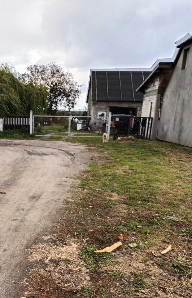 Działka siedliskowa Rusiborek. Zdjęcie 2