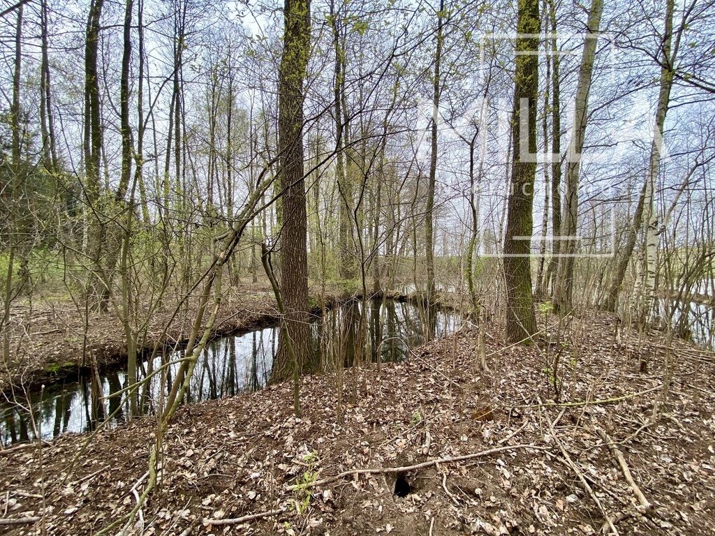 dom wolnostojący, 5 pokoi Ługi. Zdjęcie 17