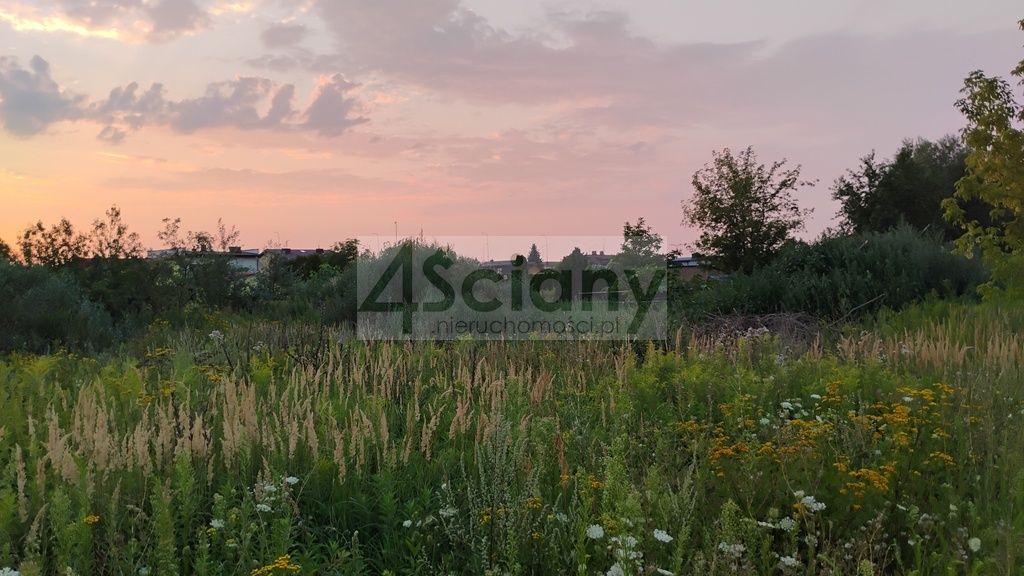 Działka inwestycyjna Nowa Wola. Zdjęcie 4