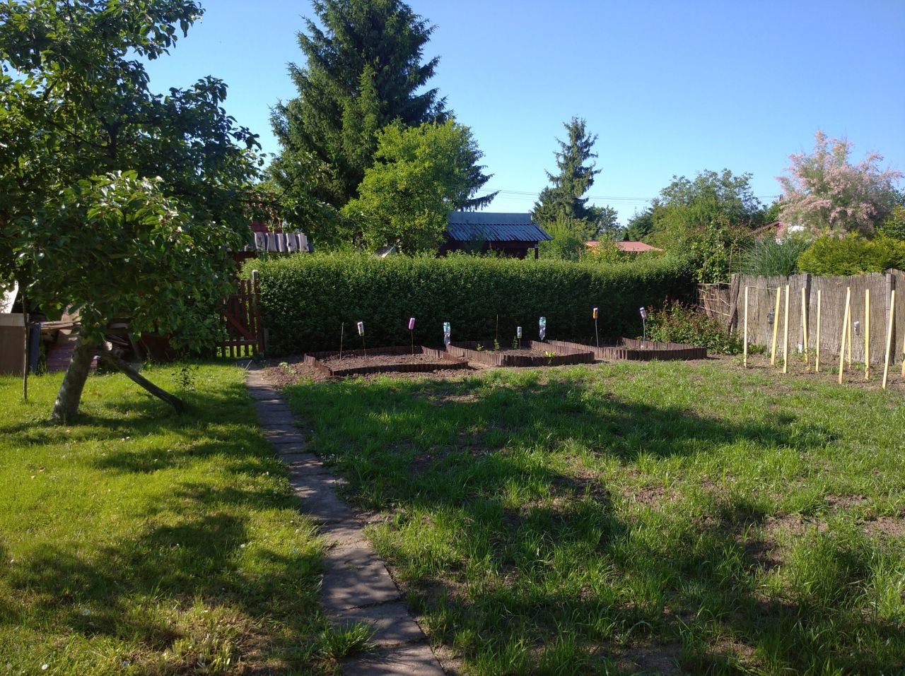 Działka rod Rzeszów Zalesie, al. Wyzwolenia. Zdjęcie 8