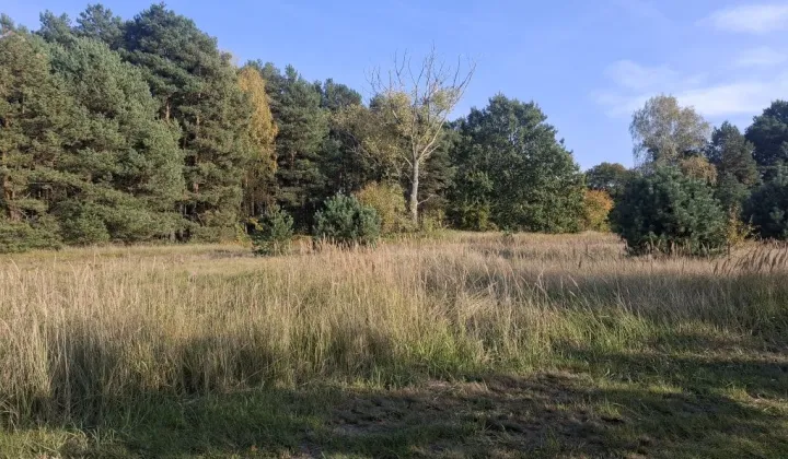 Działka Jesiona