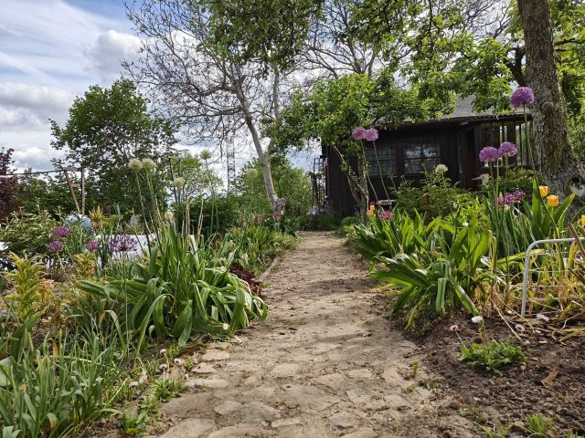 Działka rekreacyjna Kielce, ul. Wschodnia. Zdjęcie 1