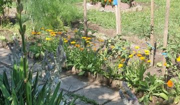 Działka rod Zielona Góra