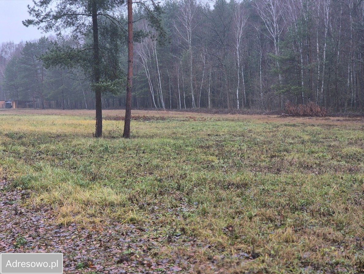 Działka rolno-budowlana Duchnów. Zdjęcie 1