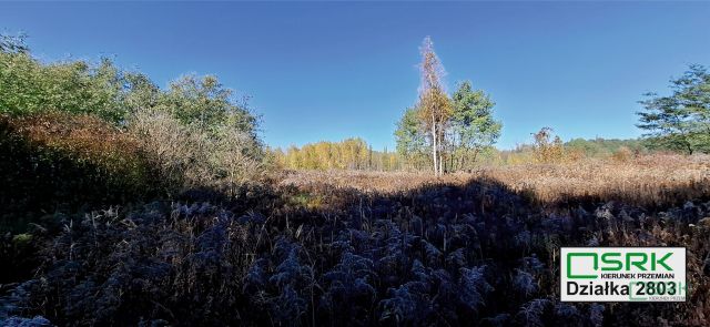 Działka inna Sosnowiec Milowice, ul. Krzysztofa Kamila Baczyńskiego. Zdjęcie 8
