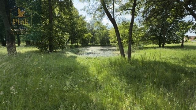 dworek, 20 pokoi Bojanowo. Zdjęcie 12