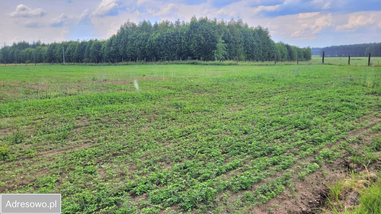 Działka rolno-budowlana Grabowiec. Zdjęcie 4