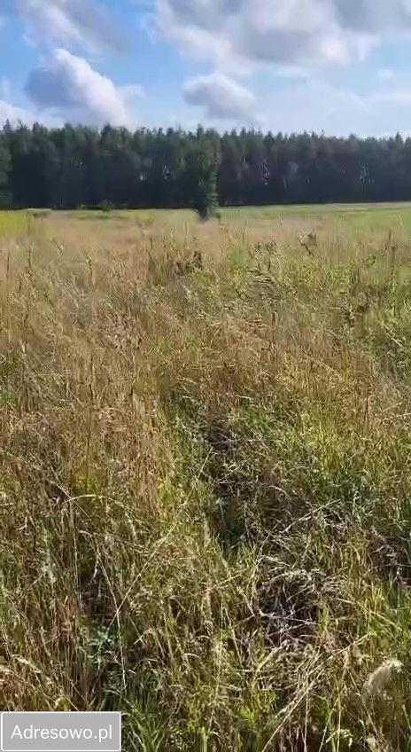 Działka rolna Pęgów, ul. Gajowa. Zdjęcie 2