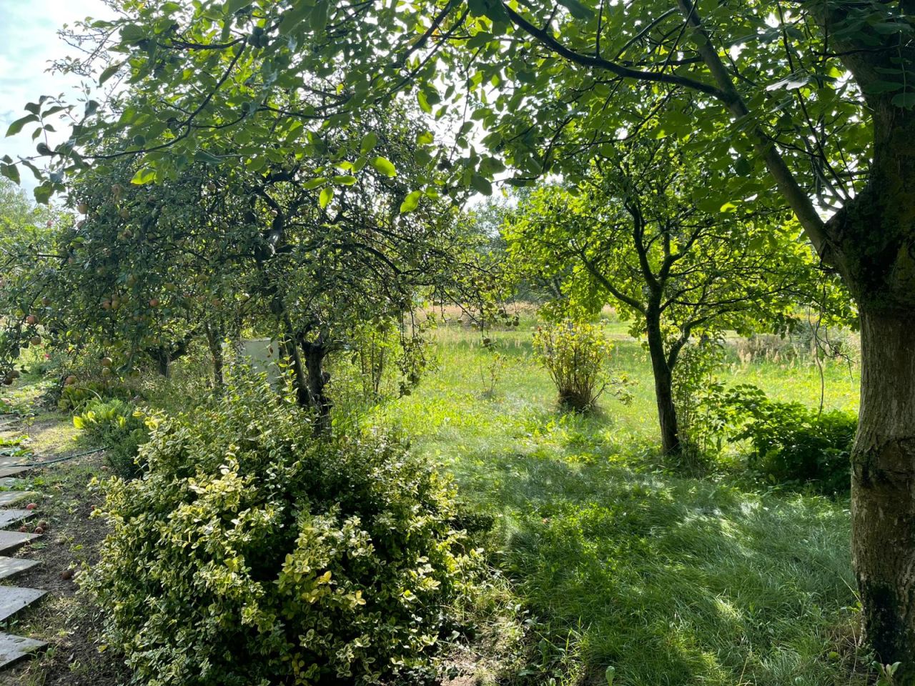 Mieszkanie 2-pokojowe Lubno, ul. Bolesława Chrobrego. Zdjęcie 17