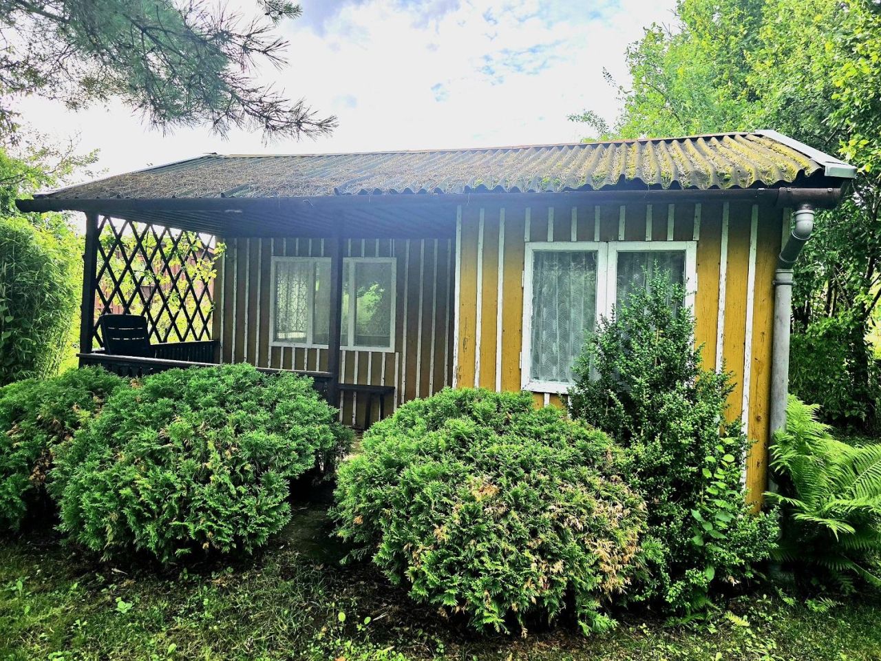 Działka rod Sępopol. Zdjęcie 10