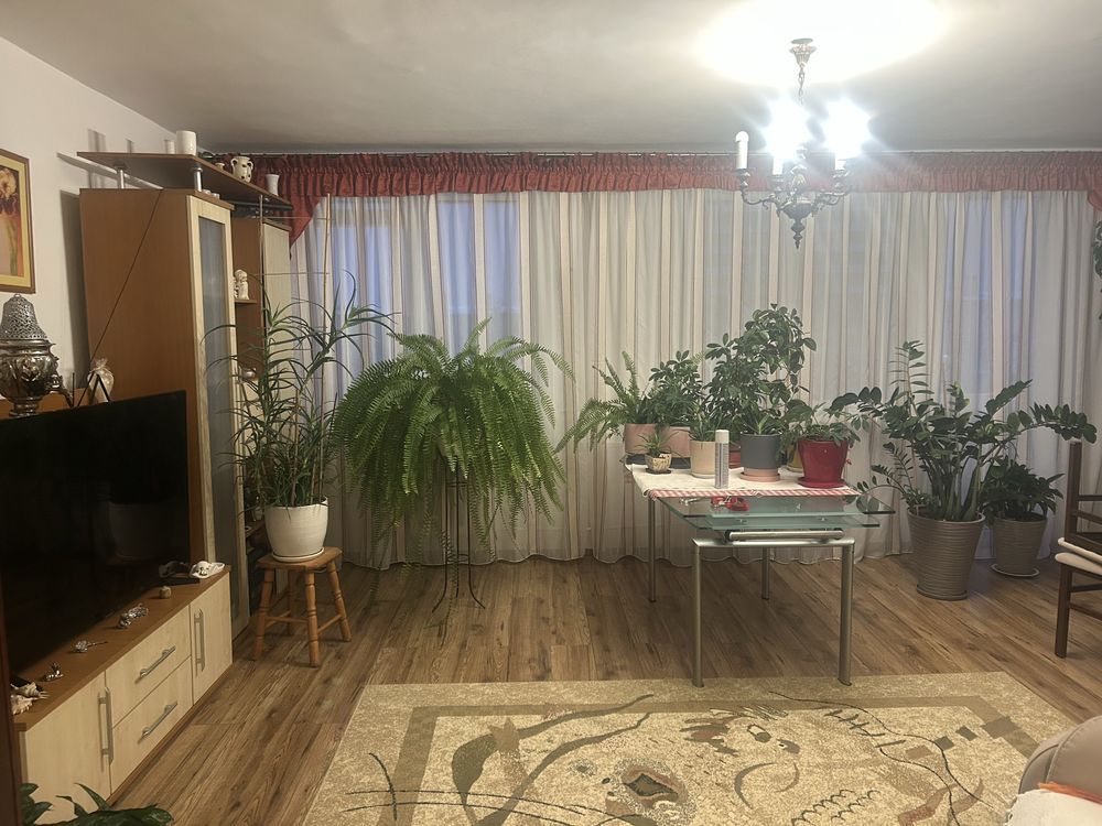 Mieszkanie 2-pokojowe Sierpc, ul. Jana Pawła II. Zdjęcie 6