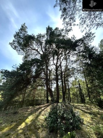 siedlisko, 4 pokoje Deskurów. Zdjęcie 13