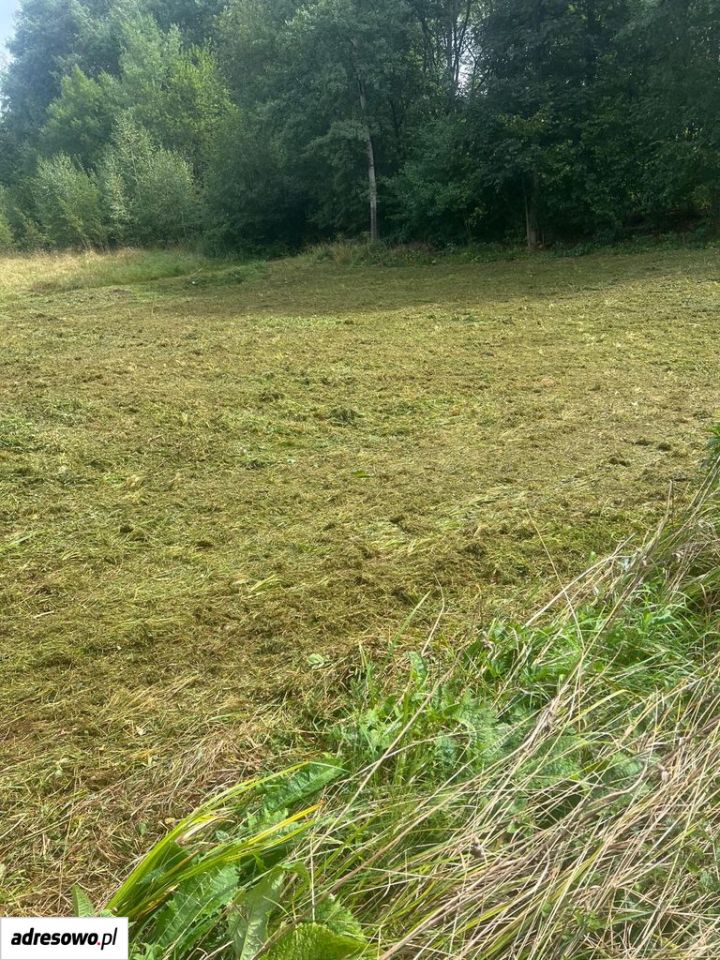 Działka rolna Dobra. Zdjęcie 1