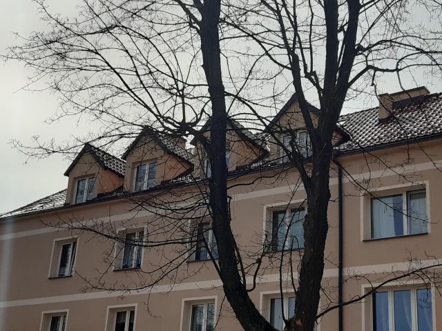 Mieszkanie 3-pokojowe Tychy Centrum, ul. Marii Curie-Skłodowskiej. Zdjęcie 1