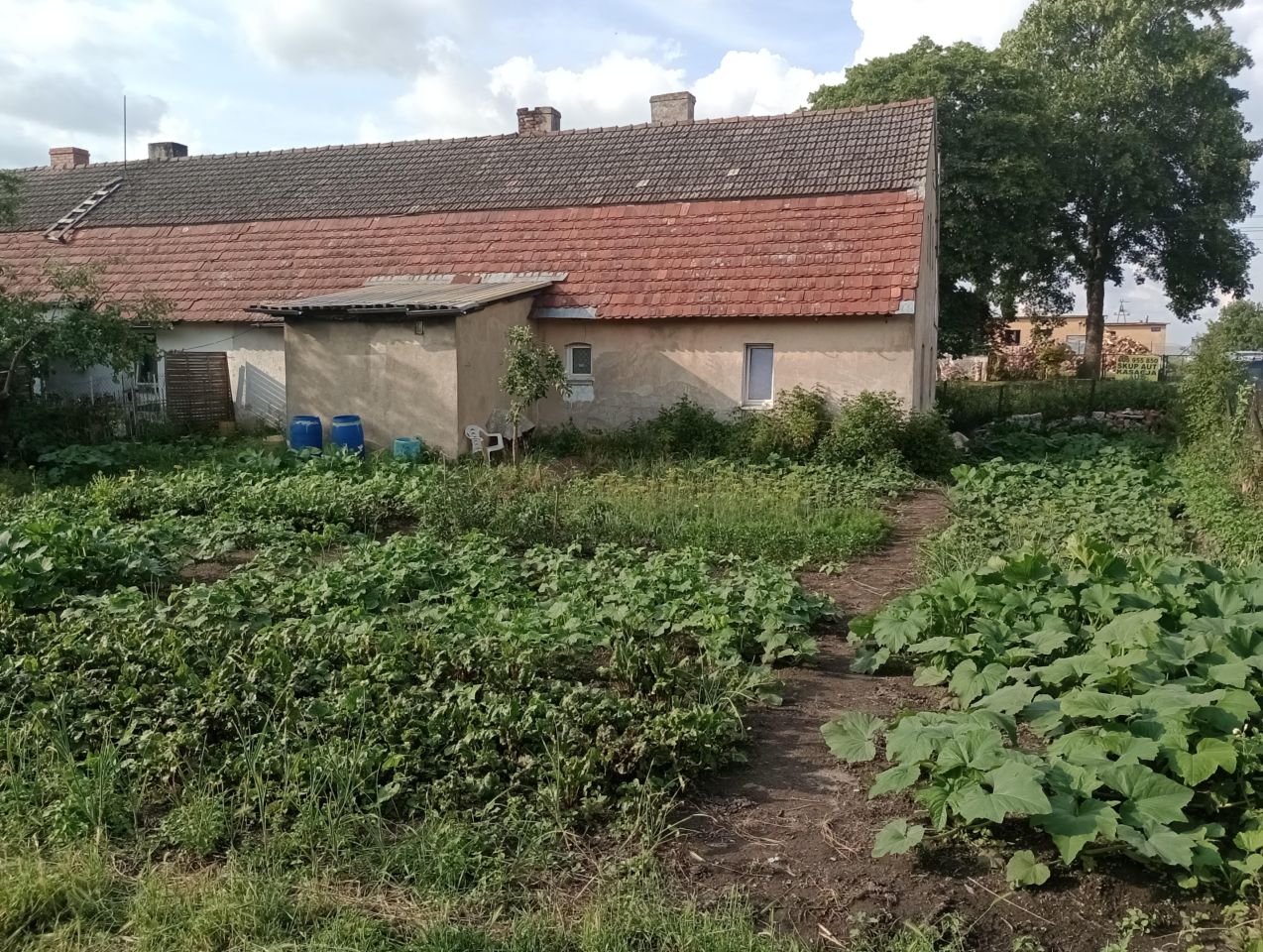 Mieszkanie 4-pokojowe Swochowo. Zdjęcie 3