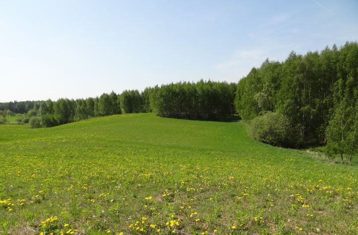 Działka budowlana Jędrychowo Rodowo. Zdjęcie 6