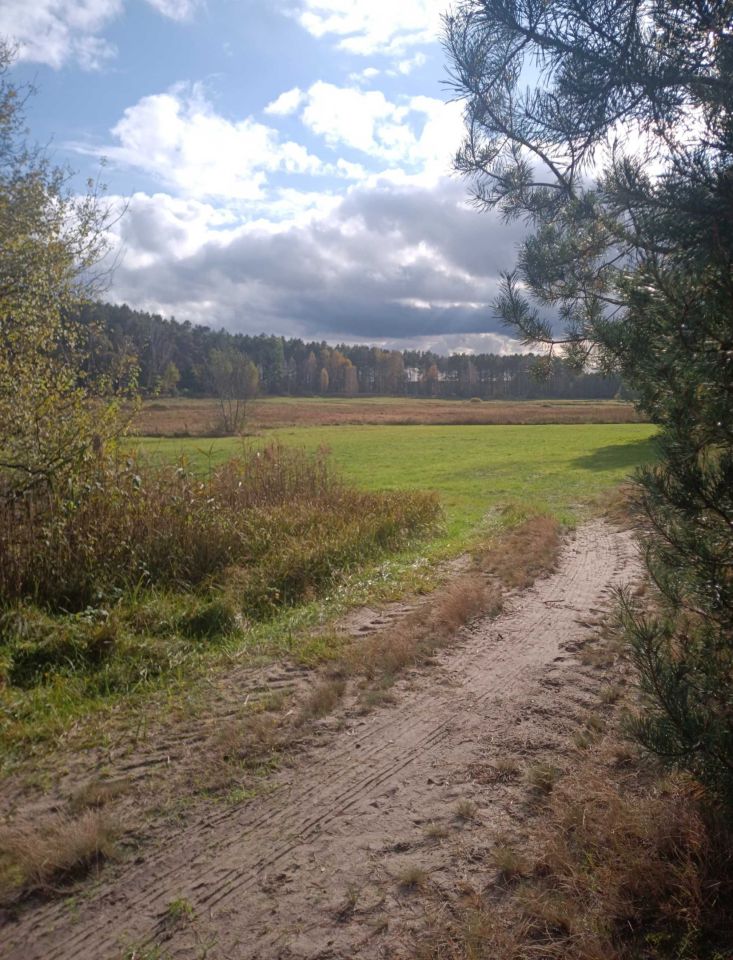 Działka rolna Osie. Zdjęcie 7