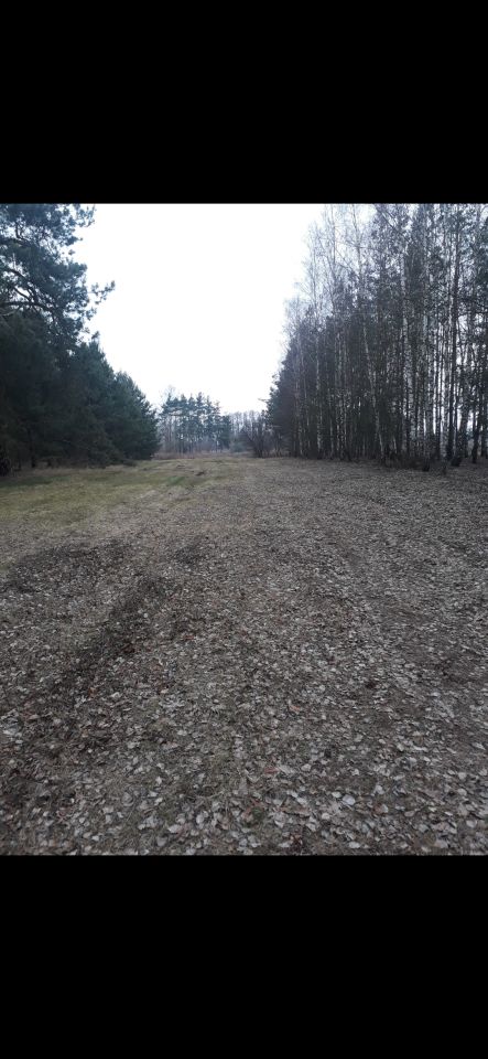 Działka rolna Nasielsk, ul. Władysława Stanisława Reymonta. Zdjęcie 3