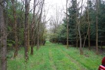 Działka leśna Ostrowice