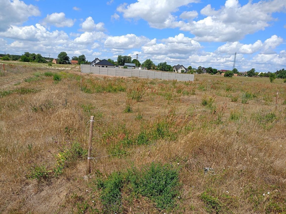 Działka budowlana Lemierzyce. Zdjęcie 6