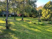 Działka rod Osiek. Zdjęcie 2