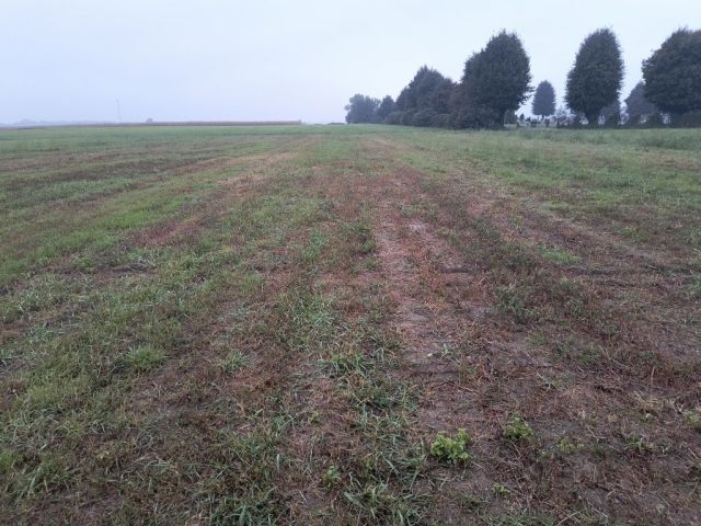 Działka inwestycyjna Brenno, ul. Rzemieślnicza. Zdjęcie 1