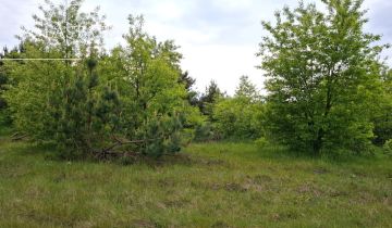 Działka inwestycyjna Myrcha