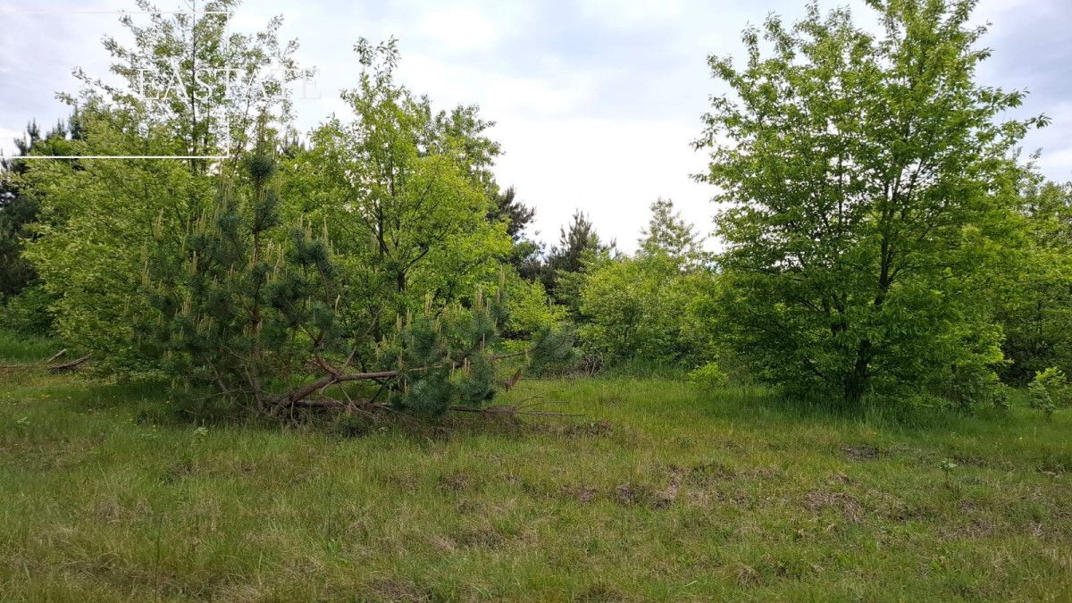 Działka inwestycyjna Myrcha. Zdjęcie 2