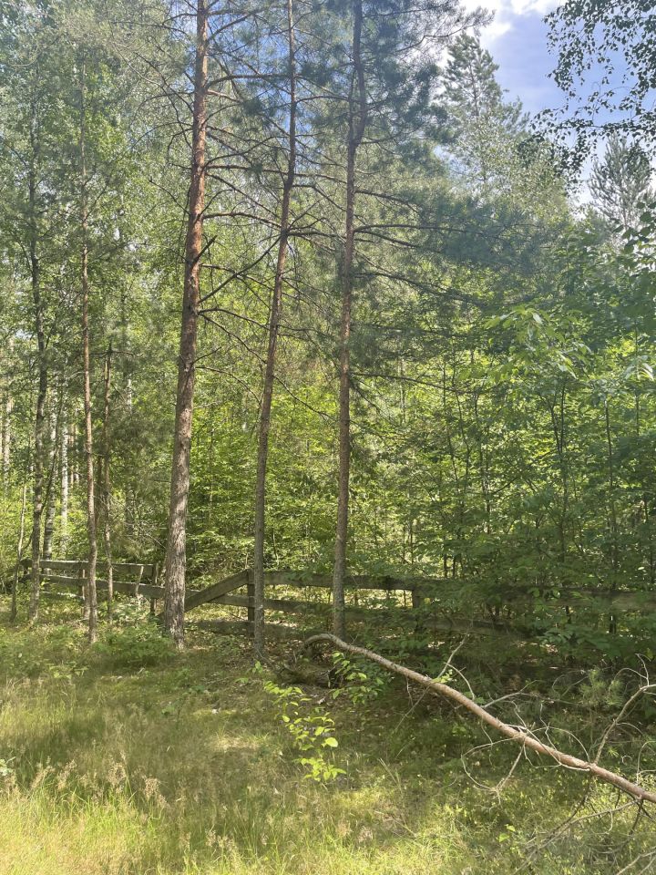 Działka rekreacyjna Faryny, ul. Dębowa. Zdjęcie 5